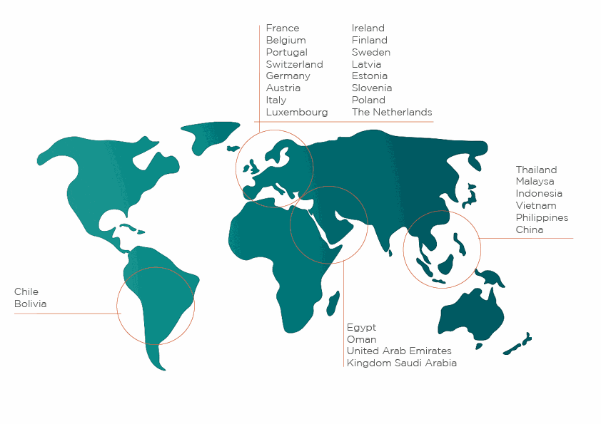 Odoo CMS - a big picture