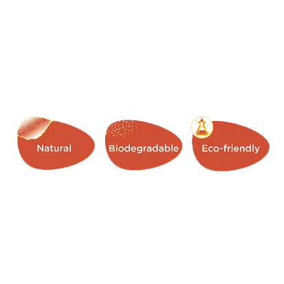 Odoo image and text block