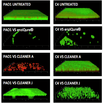 Removing biofilms from endoscopes