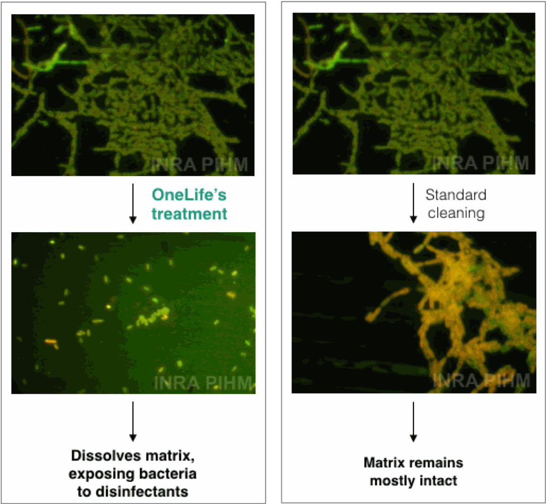 Traitement OneLife vs Nettoyage standard